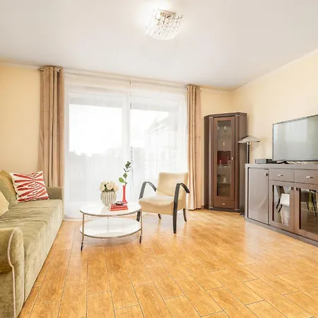 Margi Brandy Stettino