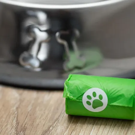 Margi Brandy Lejlighed Stettin