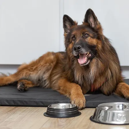 Lejlighed Margi Brandy