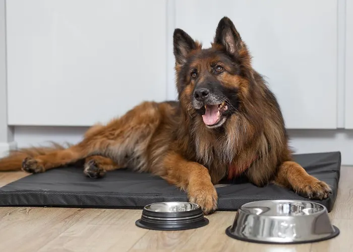 Lejlighed Margi Brandy